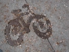 Piste cyclable