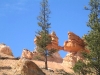 Bryce Canyon and more  83.jpg