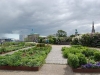 Jardin près de Kastellet