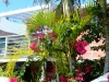 Key West