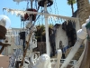 Las Vegas  Pirates Treasure Island