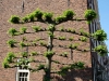 Détail des rues de Leiden