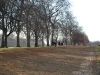 Hyde Park à cheval