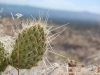 New Mexico Tent Rocks National Monument