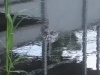 DSC05563.JPG