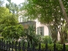 DSC05725.JPG