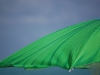 Parasol