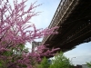 NYC Le pont de Brooklyn