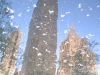 NYC reflet