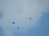 Skydive10.jpg
