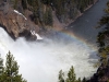 Yellowstone upper fall