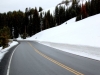 Yellowstone neige
