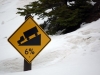 Yellowstone neige