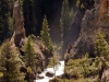 Yellowstone vue