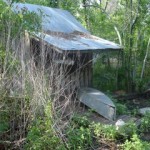 Cabane Bayou