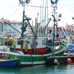Bateaux dans le port de Saint Jean de Luz