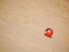 Ballon