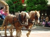 Parade Rodeo Houston 12.jpg