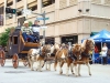 Parade Rodeo Houston 22.jpg